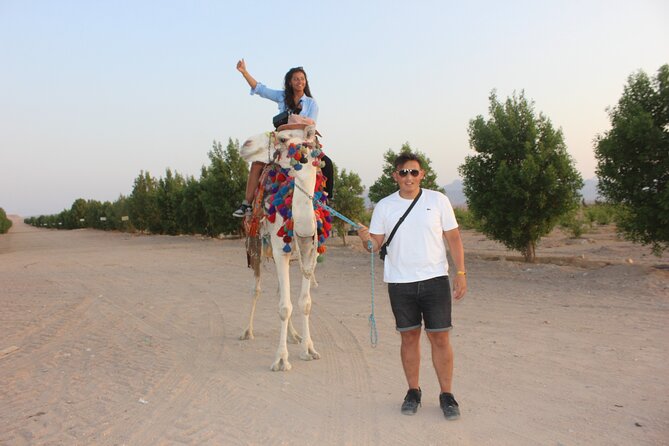 1 Hour horse Ride and Jeep adventure with stargazing -Hurghada - What the $50.02 price really covers
