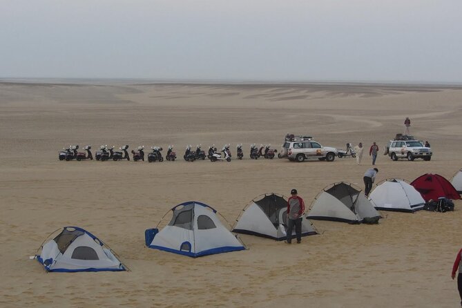 2 Day Bahariya Oasis White Desert Tour - The thermal spring and journey back to Cairo