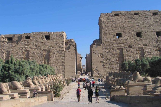 2 Day Trips to Luxor Highlights from Safaga Port - The Colossi of Memnon, a quick final stop