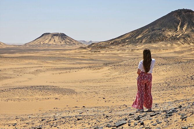 2 Days White Desert and Bahariya Oasis Tour - White Desert National Park: The Main Event