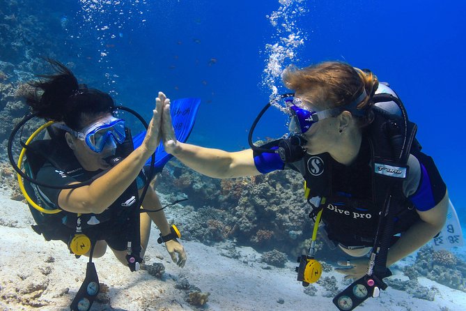 2-Dive adventure-Safe & Top-rated boat for Certified Divers - Why this Hurghada boat trip works well