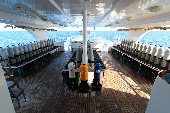 2-Dive adventure-Safe & Top-rated boat for Certified Divers - Equipment, insurance, and what you still pay for