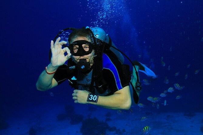 2 Dive Stops Intro Scuba Diving With Lunch & Transfer - Hurghada - The briefing and first underwater session