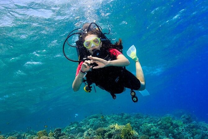 2 Dive Stops Intro Scuba Diving With Lunch & Transfer - Hurghada - Coral reefs, fish, and the Abu Ramada possibility