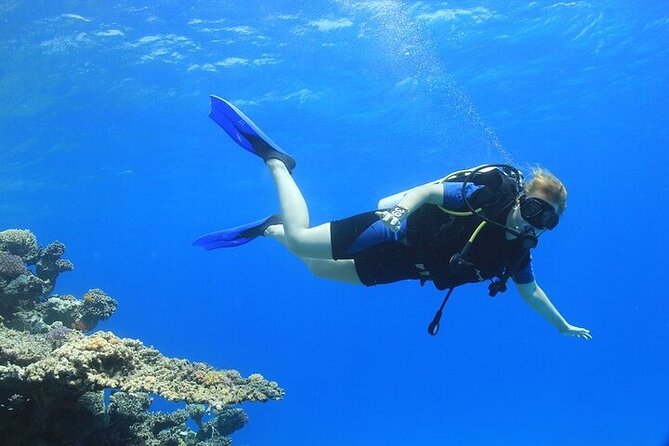 2 Dive Stops Intro Scuba Diving With Lunch & Transfer - Hurghada - Lunch on board between the two stops