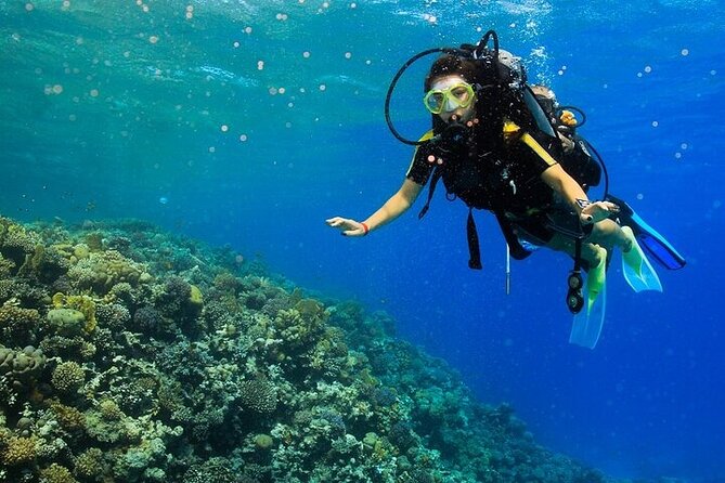 2 Dive Stops Intro Scuba Diving With Lunch & Transfer - Hurghada - Group size, comfort, and who should book