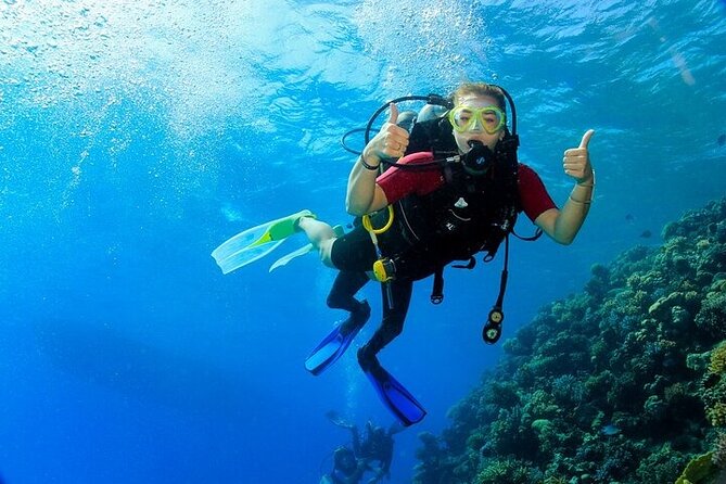 2 Dive Stops Intro Scuba Diving With Lunch & Transfer - Hurghada - Starting at 8:00 a.m. in Hurghada