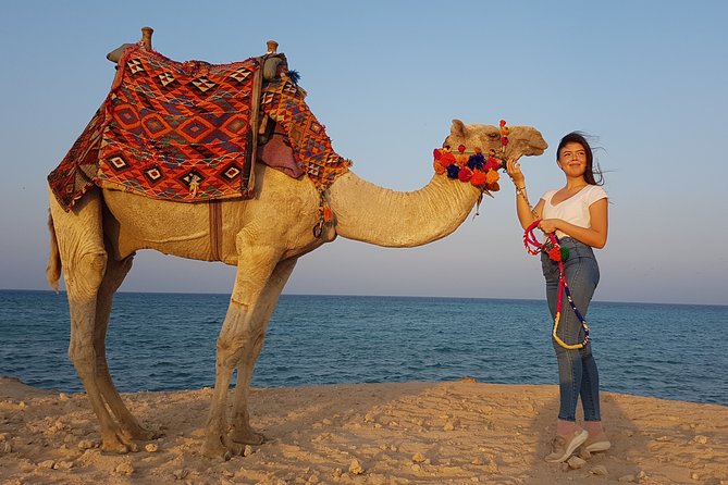 2 hours Camel Riding at Amazing Desert & Sea With Transfer - Hurghada - Key points to know before booking