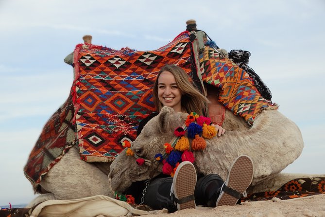 2 hours Camel Riding at Amazing Desert & Sea With Transfer - Hurghada - Getting ready for a tall Egyptian camel