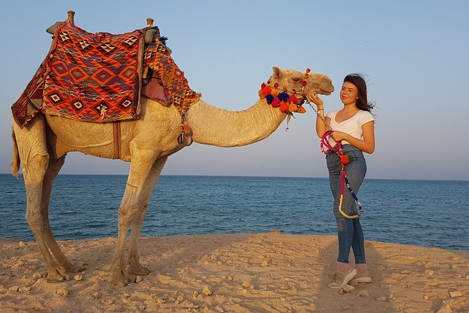 2 hours Camel Riding at Amazing Desert & Sea With Transfer - Hurghada - Guides, photographs, and the human side