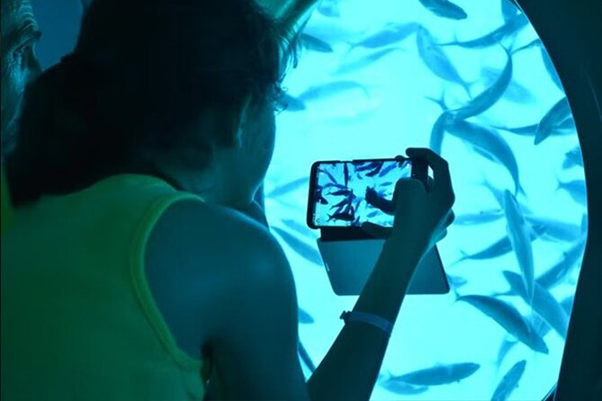 2 Hours Catamaran and Semi Submarine with Snorkeling in Hurghada - What the $9.89 price really includes