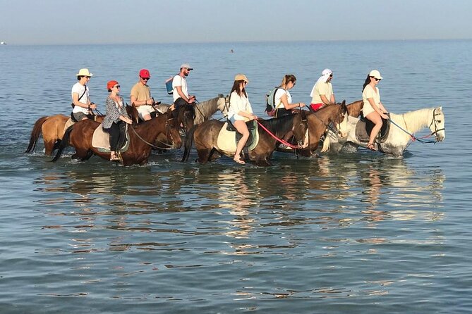 2 hours Horse Riding on The Sea and Desert- Hurghada - Quick facts for your Hurghada ride