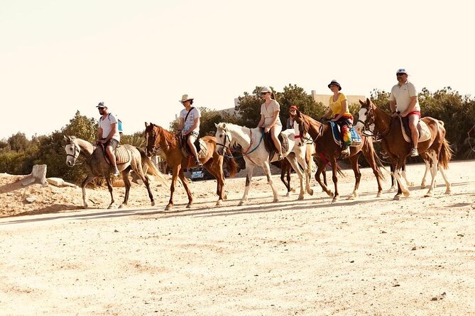 2 hours Horse Riding on The Sea and Desert- Hurghada - Meeting the horses and getting basic instruction