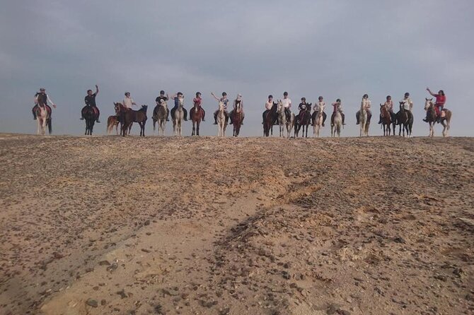 2 hours Horse Riding on The Sea and Desert- Hurghada - Horse welfare deserves your attention