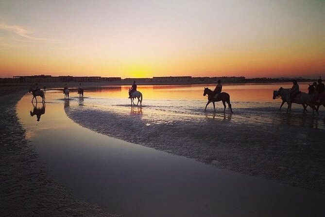 2 hours Horse Riding on The Sea and Desert- Hurghada - Who should book this experience?