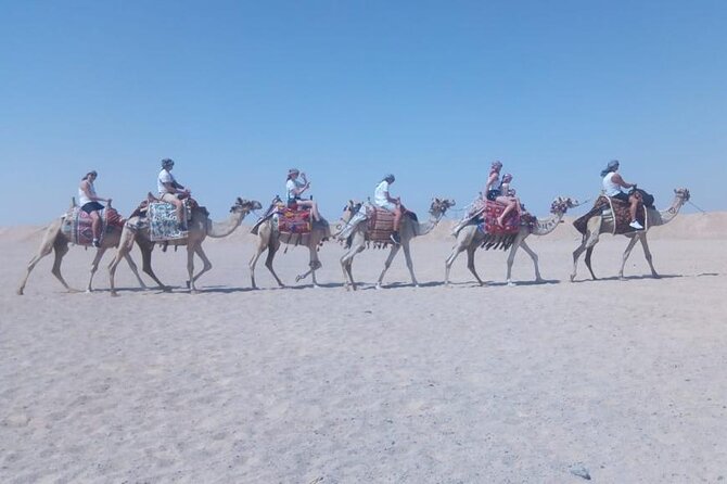 2 hours Horse Riding on The Sea and Desert- Hurghada - Riding across the Hurghada desert