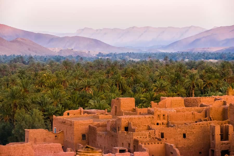 2 Nights 3 Days at Siwa Oases camp from Cairo - Shali Fortress and the old Siwan center