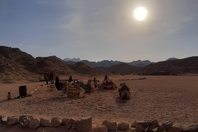 3 Hours Safari by Quad Bike - Hurghada - Riding from Hurghada into the open desert