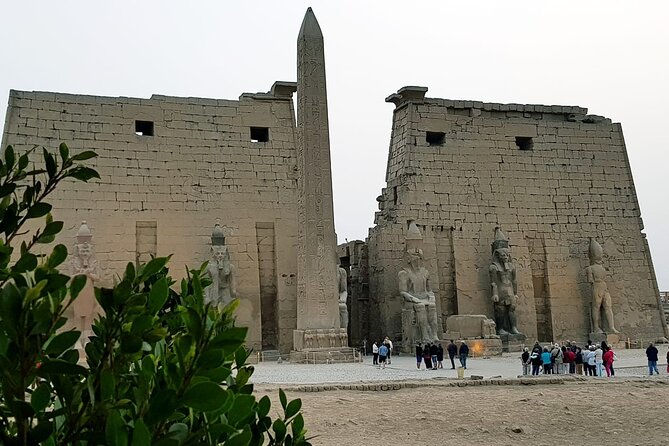 5 Days Nile Cruise From Luxor To Aswan Including Hot Air Balloon & Abu Simbel - Guides, group size, and organization