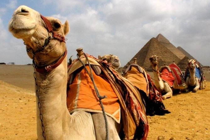 6 Hours visit to Giza pyramids sphinx and Sakkara - Saqqara and the Step Pyramid of Djoser