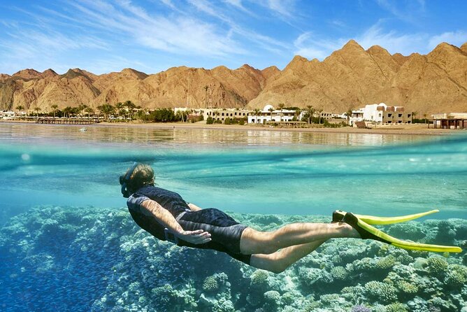 8 Day Cairo Pyramids and Nile cruise and Alexandria All inclusive Private Tour - Day 5: The Valley of the Kings and Luxor’s west bank