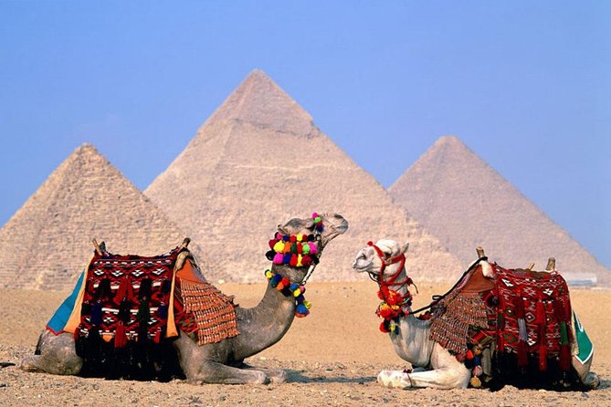 8-Day Private Tour Cairo, Aswan, Luxor and Nile Cruise Including Air Fare - Day 2: Giza and the Egyptian Museum
