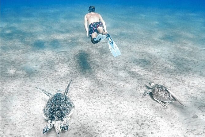 Abu Dabbab Beach Full Day Trip with Turtles - The 11:30 a.m. coral reef session