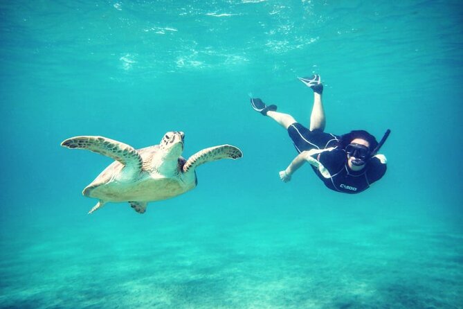 Abu Dabbab Beach Full Day Trip with Turtles - Equipment, drinks, and practical comfort