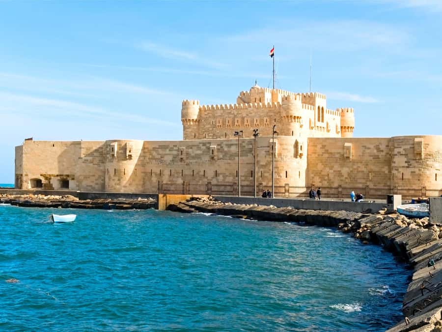 Alexandria: Archeological Day Tour - The Library of Alexandria and its museums