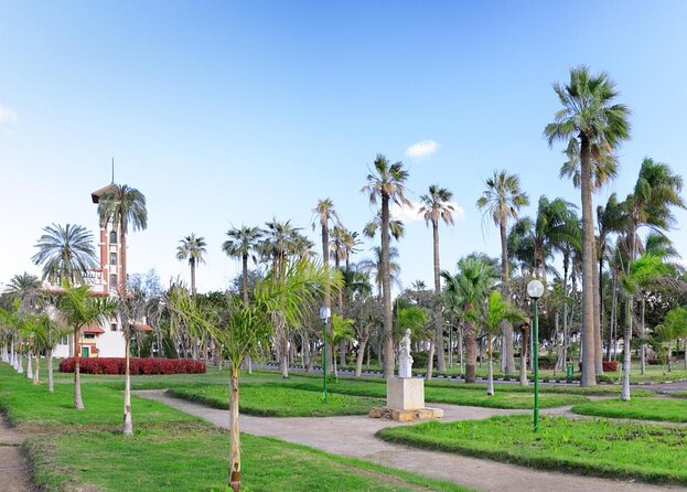 Alexandria Day Trip From Cairo - Five things to know before you go