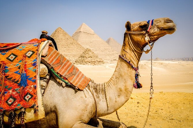All INC- Pyramids,Camel Ride،(1 hour) four wheeler (ATV)& Lunch - A camel ride beside the pyramids