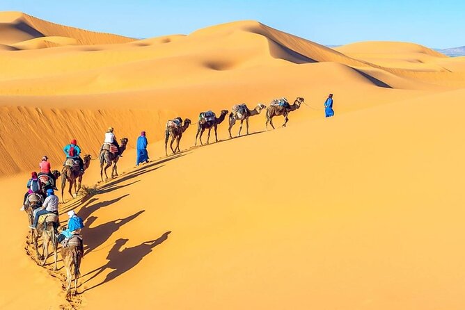 All Inclusive Day Tour To Cairo from Alexandria Port - Three pyramids, three different stories