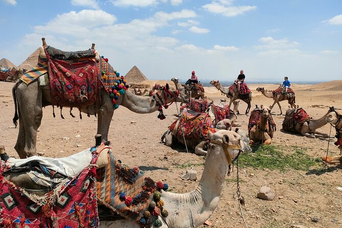 All inclusive Giza Pyramids ,Sphinx ,Lunch ,Camel&Inside pyramid - A private start at the Giza Plateau