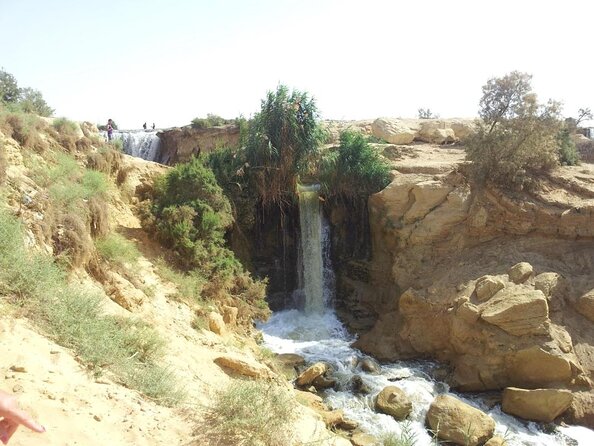 Allinclusive Private Tour Fayoum Oasis & Valley of Wales - Key points at a glance