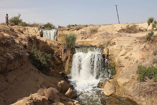 Allinclusive Private Tour Fayoum Oasis & Valley of Wales - From your Cairo hotel to the oasis