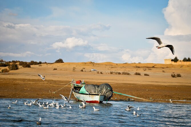 Allinclusive Private Tour Fayoum Oasis & Valley of Wales - Magic Lake and the 4x4 desert ride