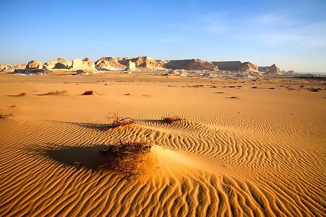 Allinclusive Private Tour Fayoum Oasis & Valley of Wales - Lunch by the lake