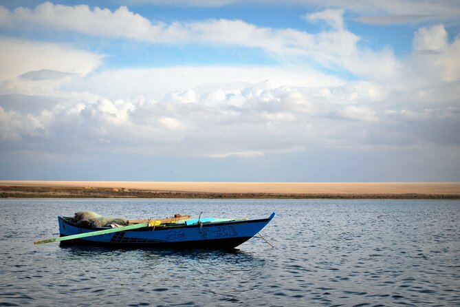 Allinclusive Private Tour Fayoum Oasis & Valley of Wales - The Valley of the Whales warning