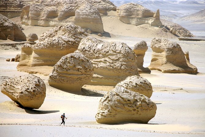Allinclusive Private Tour Fayoum Oasis & Valley of Wales - Lake Qarun and Mount Mudawara
