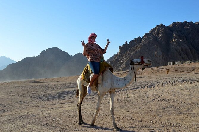 ATV Quad bike Adventure Desert Safari Tour In Sharm El Sheikh - Guides, safety, and the feel of the group