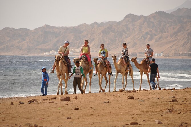 Blue Hole and Dahab City from Sharm El Sheikh - Is $15 good value?