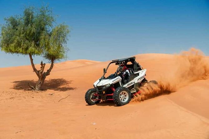 Buggy Safari - Sharm El Sheikh - Key points to know before you book