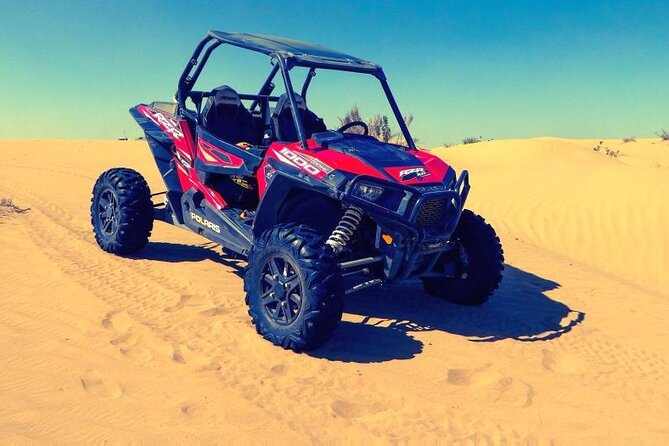 Buggy Safari - Sharm El Sheikh - Who will enjoy this outing most