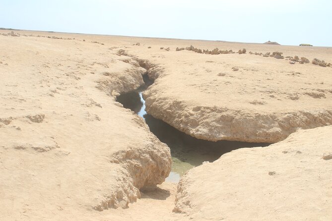 Bus Tour to Ras Mohamed from Sharm El Sheikh - What Vito and Nasser Add to the Day