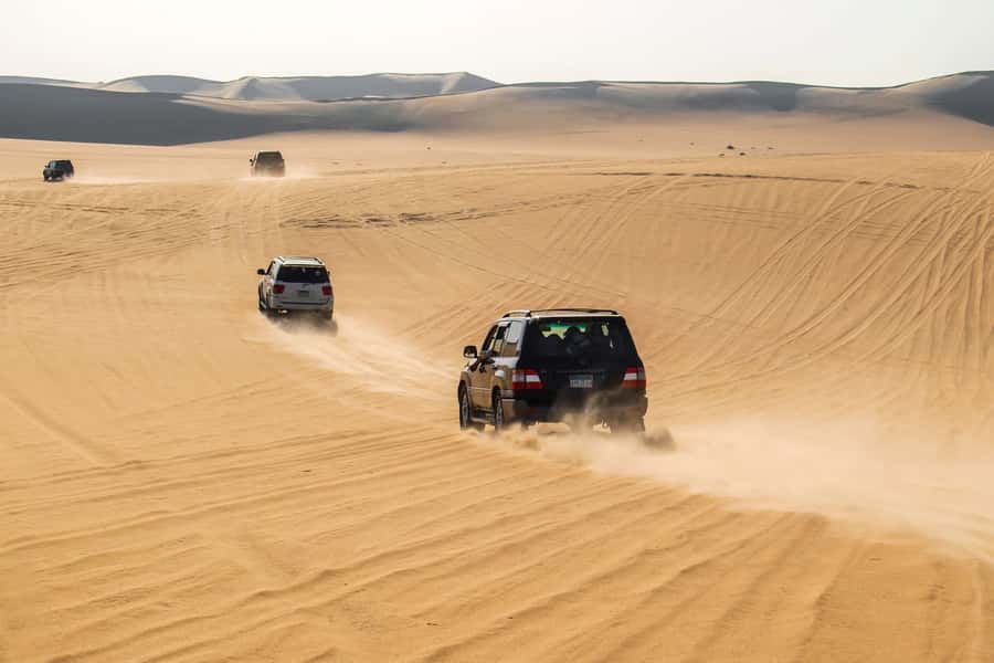 Cairo: 3-Day Siwa Oasis Tour, Safari, Camp & Historical Site - Transport, timing, and what to pack