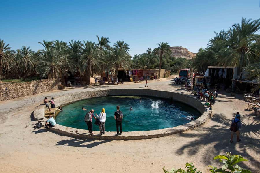 Cairo: 3-Day Siwa Oasis Tour, Safari, Camp & Historical Site - Your first taste of water in the desert