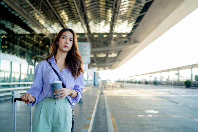 Cairo Airport Private Arrival/Departure Transfer to/hotel - Flight delays, baggage problems, and customs