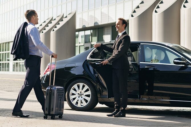 Cairo: Airport Transfer Service With Meeting And Greeting - What happens after landing