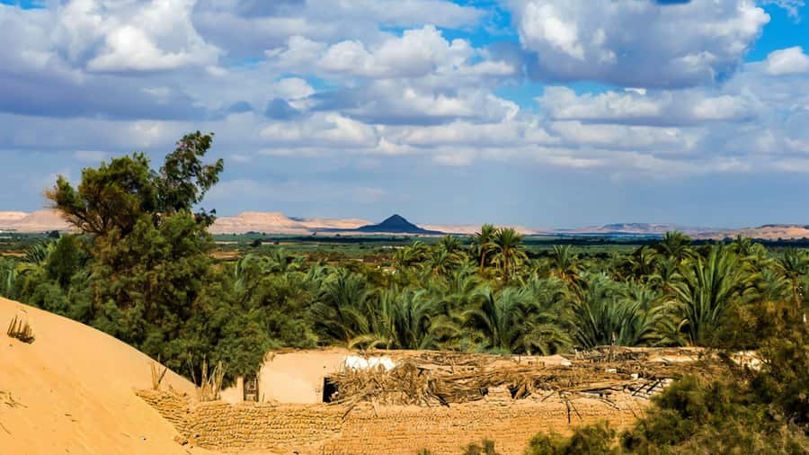 Cairo: Bahariya Oasis & White Desert 3-Day Private Adventure - Guide quality, comfort, and the pace of the route