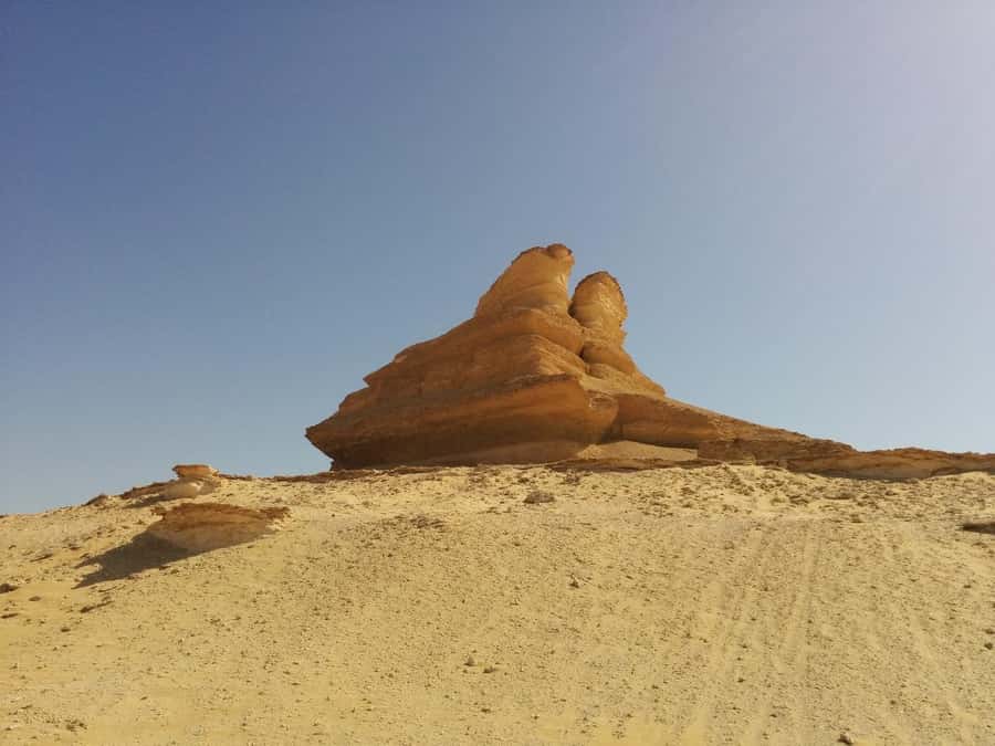 Cairo: Bahariya Oasis & White Desert A Private Day Adventure - Lunch, local food, and the real value of $160